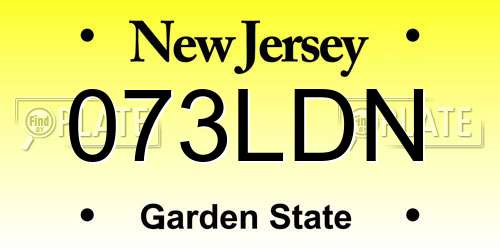 073LDN New Jersey License Plate