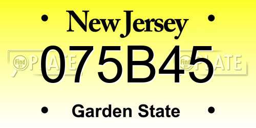 075B45 New Jersey License Plate