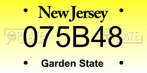 075B48 New Jersey License Plate