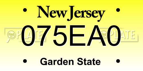 075EA0 New Jersey License Plate