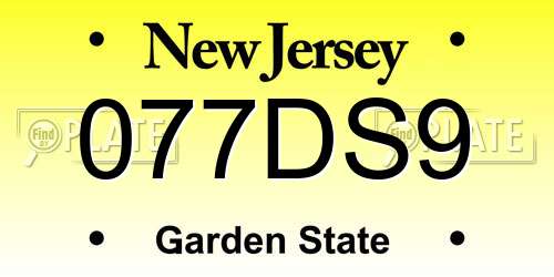 077DS9 New Jersey License Plate