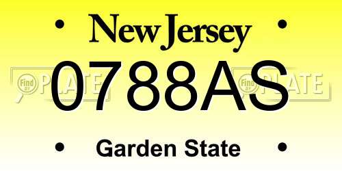0788AS New Jersey License Plate