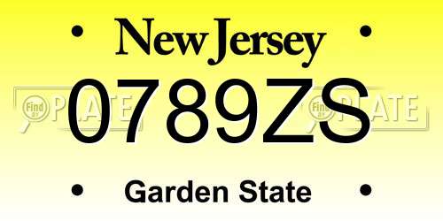 0789ZS New Jersey License Plate