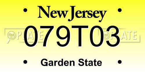 079T03 New Jersey License Plate