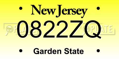 0822ZQ New Jersey License Plate