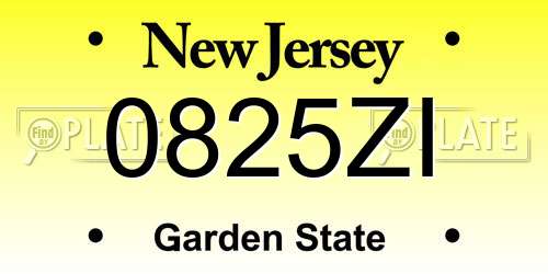 0825ZI New Jersey License Plate