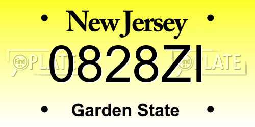 0828ZI New Jersey License Plate