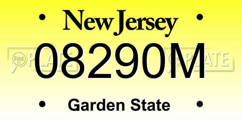 08290M New Jersey License Plate