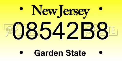 08542B8 New Jersey License Plate