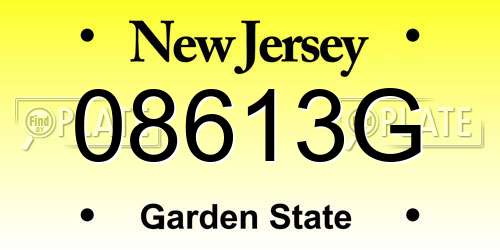 08613G New Jersey License Plate