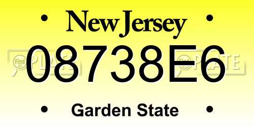 08738E6 New Jersey License Plate