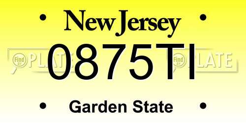 0875TI New Jersey License Plate