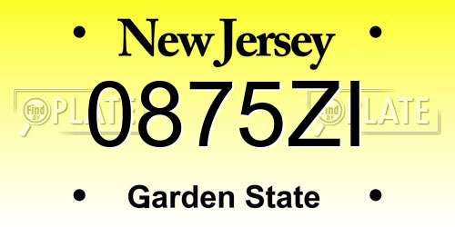 0875ZI New Jersey License Plate
