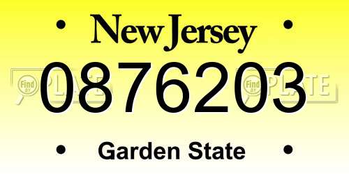 0876203 New Jersey License Plate
