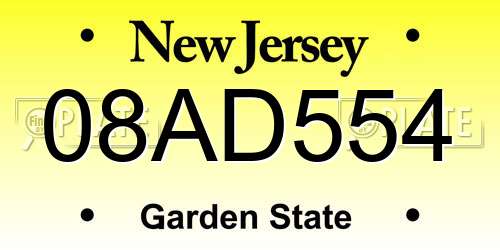 08AD554 New Jersey License Plate
