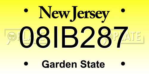 08IB287 New Jersey License Plate