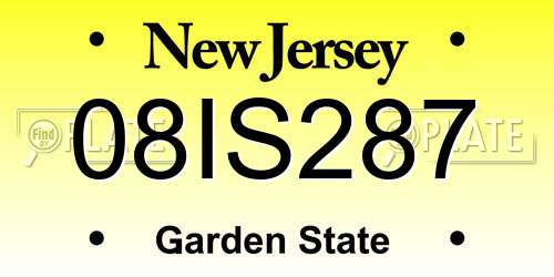 08IS287 New Jersey License Plate
