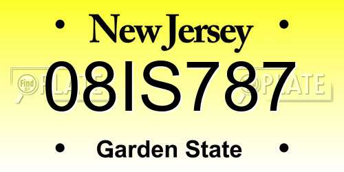 08IS787 New Jersey License Plate
