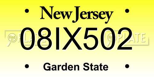 08IX502 New Jersey License Plate