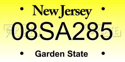 08SA285 New Jersey License Plate