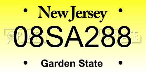 08SA288 New Jersey License Plate