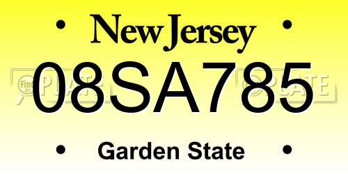 08SA785 New Jersey License Plate