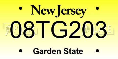 08TG203 New Jersey License Plate
