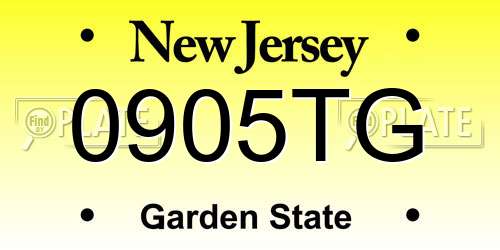 0905TG New Jersey License Plate