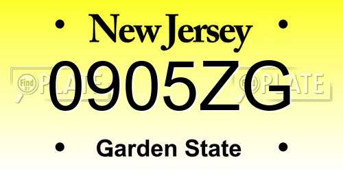 0905ZG New Jersey License Plate