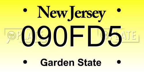 090FD5 New Jersey License Plate