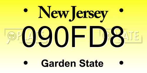 090FD8 New Jersey License Plate