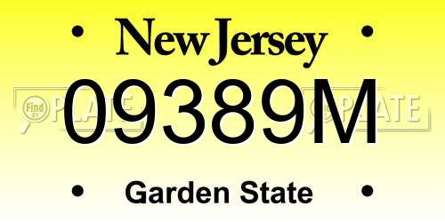 09389M New Jersey License Plate