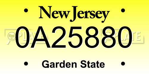 0A25880 New Jersey License Plate