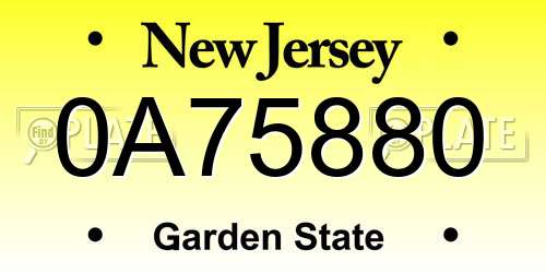 0A75880 New Jersey License Plate