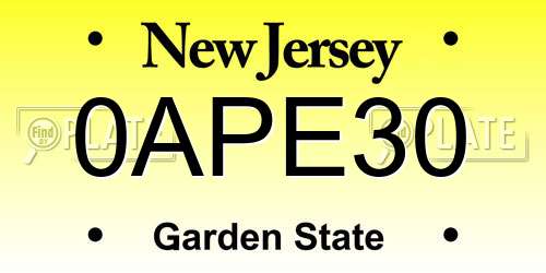 0APE30 New Jersey License Plate