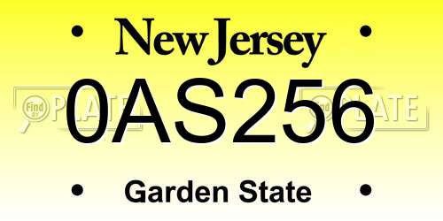 0AS256 New Jersey License Plate