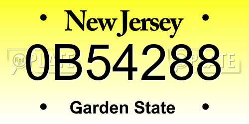 0B54288 New Jersey License Plate