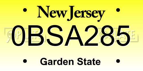 0BSA285 New Jersey License Plate