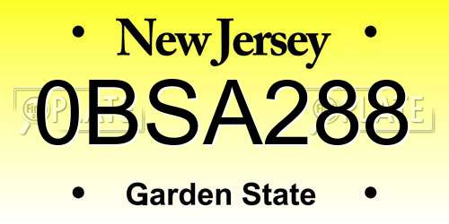 0BSA288 New Jersey License Plate