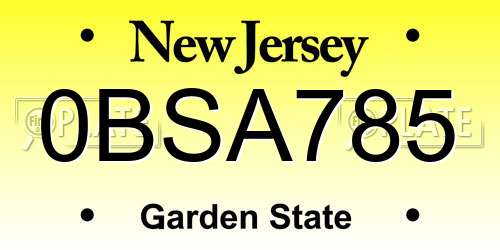 0BSA785 New Jersey License Plate