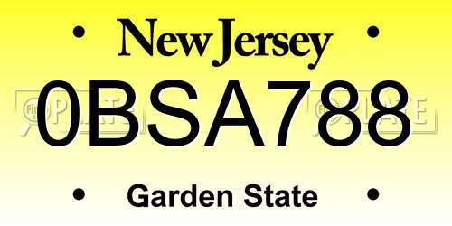 0BSA788 New Jersey License Plate