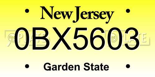 0BX5603 New Jersey License Plate