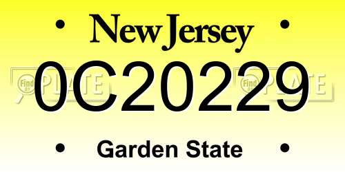0C20229 New Jersey License Plate