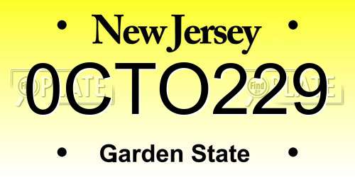 0CTO229 New Jersey License Plate