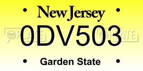 0DV503 New Jersey License Plate