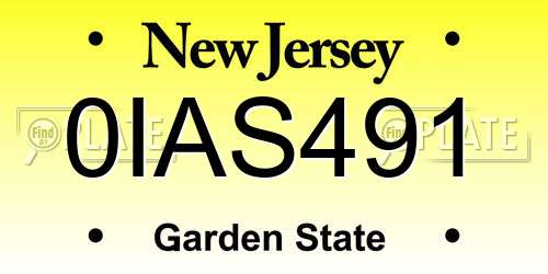 0IAS491 New Jersey License Plate