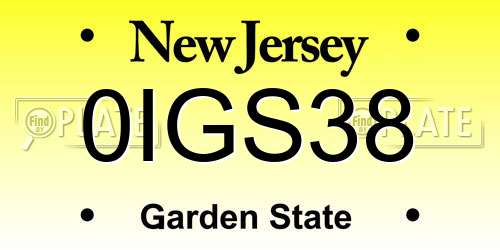 0IGS38 New Jersey License Plate