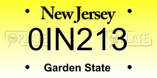 0IN213 New Jersey License Plate