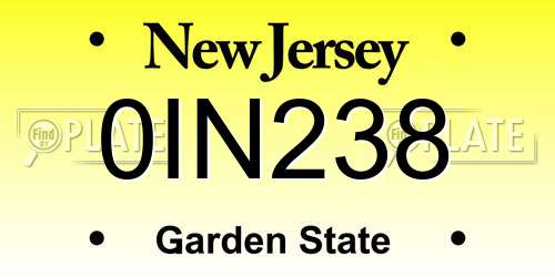 0IN238 New Jersey License Plate