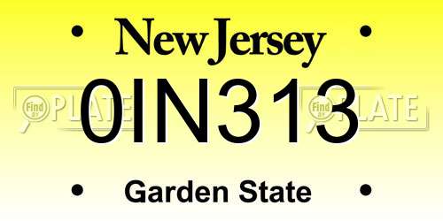0IN313 New Jersey License Plate